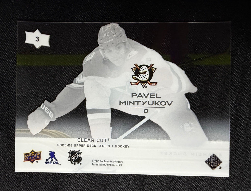 Pavel Mintyukov photo 2