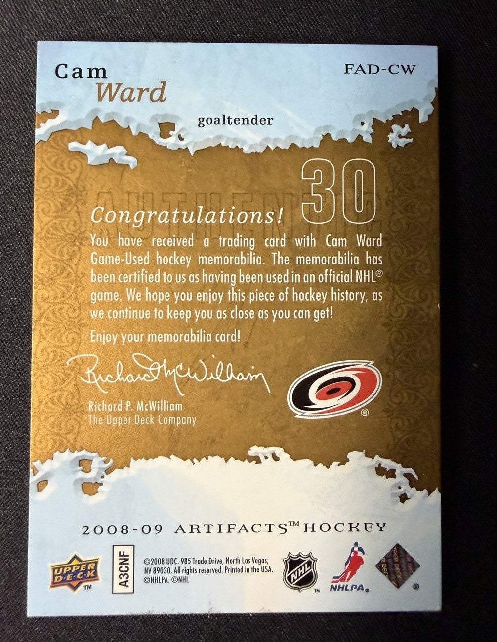 Cam Ward photo 2